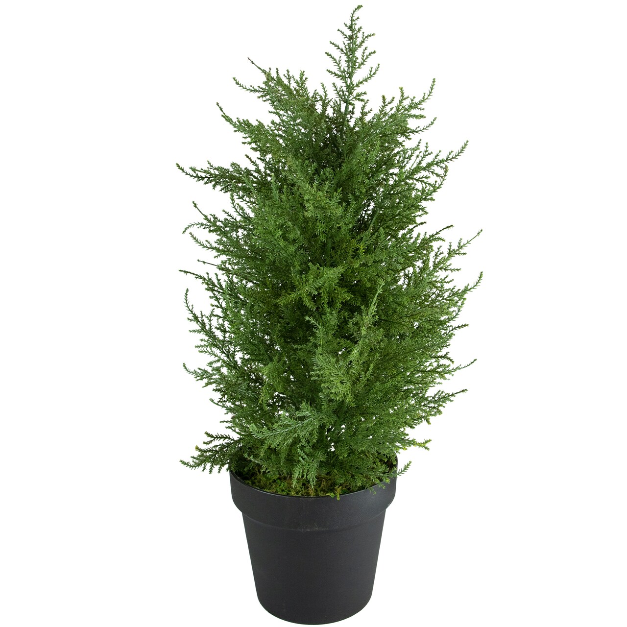Northlight Real Touch™ Artificial Cedar Pine Petite Arborvitae Tree in Round Pot - 2' - Unlit